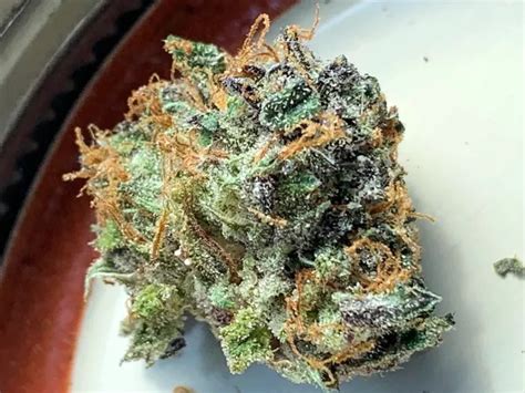 Gaslato Marijuana Strain Information & Reviews .